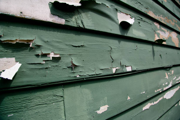 Best Same-Day Junk Removal Services  in Hewlett, NY
